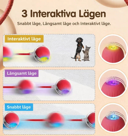 AktivPaw Lekboll